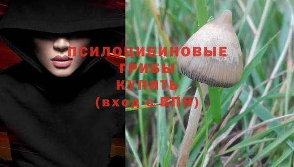 марки lsd Армянск