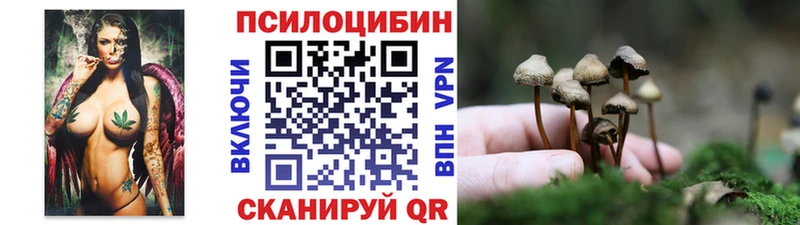 omg рабочий сайт  Ишимбай  Псилоцибиновые грибы мухоморы 